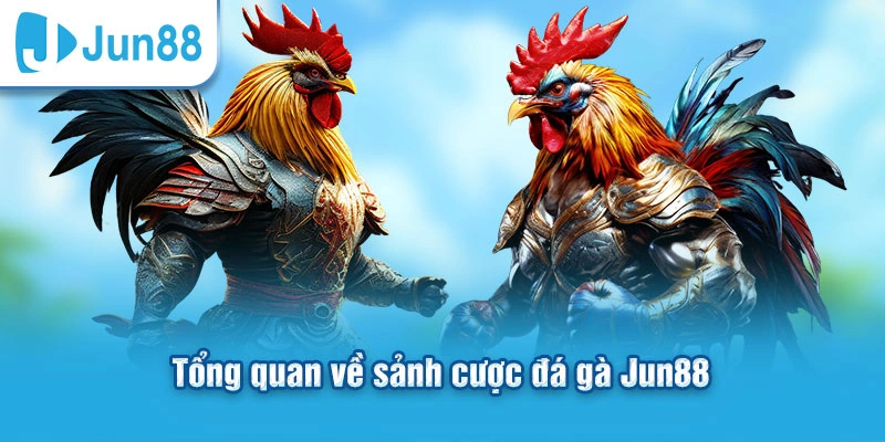 Tổng quan về sảnh cược đá gà Jun88